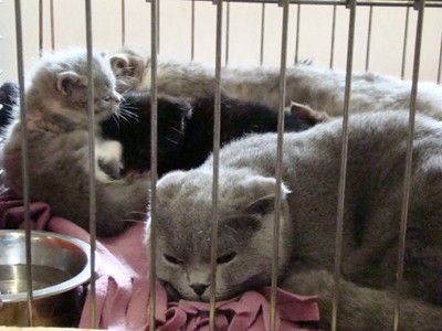 20121021_99 (Expo)
